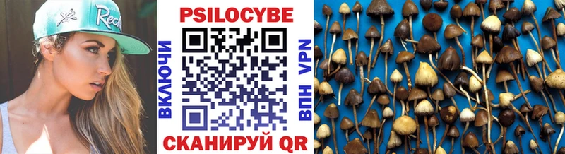 купить   Порхов  Псилоцибиновые грибы Psilocybine cubensis 